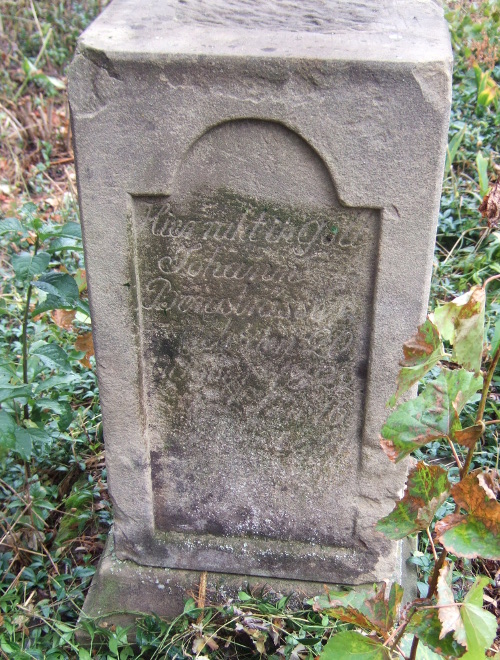 Bergstr�sser, Johann