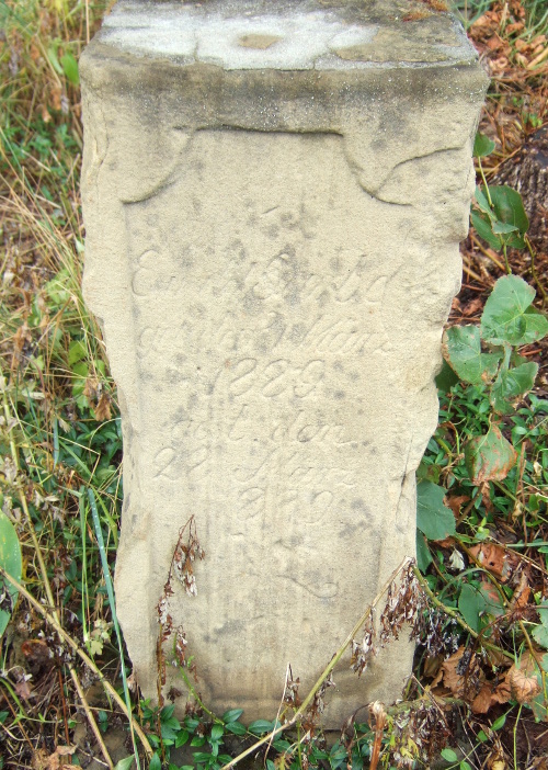 Garbe, Ernst