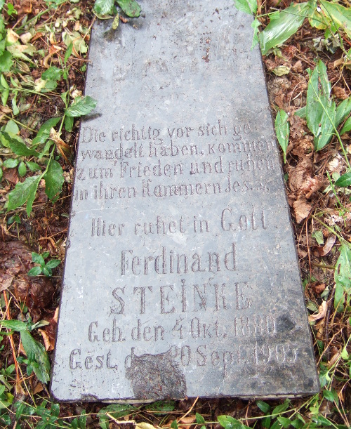 Steinke, Ferdinand