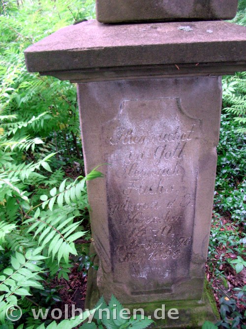 Fuchs, Heinrich
