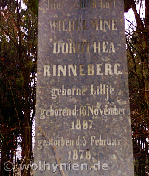 Rinneberg, Wilhelmine 