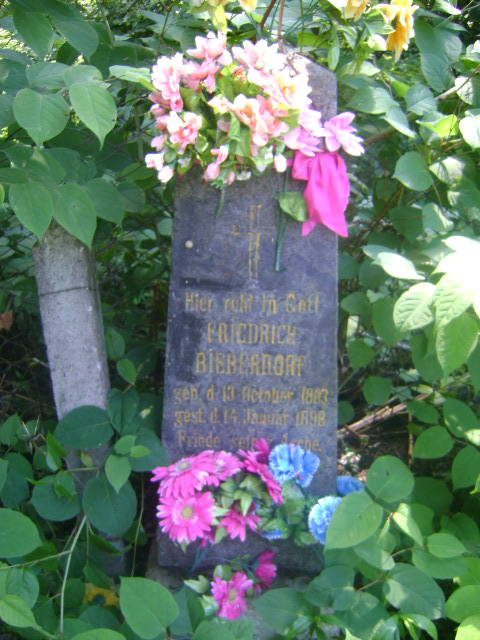 Friedrich Bieberdorf