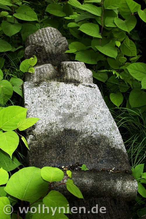 Huber, Augusta