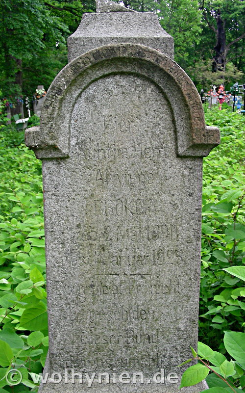 Brokop, Alwiene